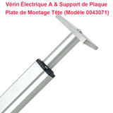 Verin Electrique 200 kg / Verin Telescopique Electrique Course 100MM (Modèle 0041502)