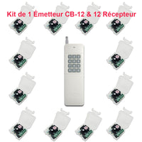 0-99s interrupteur sans fil avec minuterie kit 1 émetteur 12 récepteur