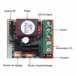 1000M 12 Canaux CC Kit Récepteur Radio & Émetteur 12 Boutons Avec Fonction Temporisé NF / NO 4 Modes de Contrôle (Modèle 0020019)