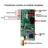 Module Bidirectionnel Récepteur Émetteur Sans Fil Longue Portée 5000M (Modèle 0020242)