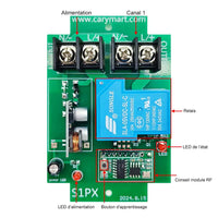 Émetteur 12 Voies & 12 Récepteurs CC Système de Télécommande RF (Modèle 0020735)