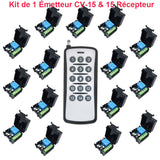 Kit de télécommande sans fil avec fonction de minuterie à retardement de 20 secondes (Modèle 0020099)