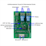 Récepteur radio fréquence 2 canaux CC 12V avec fonction temporisation réglable (Modèle 0020660)