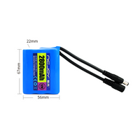 12V 2800mAh Paquet de Batterie au Lithium Rechargeable (Modèle 0010202)
