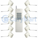 Interrupteur de relais sans fil un-contrôle-douze RF avec 1 émetteur et 12 canaux 12 récepteurs monocanal (Modèle 0020359)