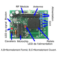 Contrôleur Radio de Moteur CC Avec Sortie de Tension CC 6V/9V/12V/24V (Modèle 0020411)