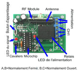 Récepteur Sans Fil 1 Canal CC 6V/9V/12V/24V 433Mhz avec Sortie Relais à Contact Sec (Modèle 0020040)