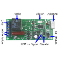 Système RF Avec Télécommande à 6 Canaux et 6 Récepteurs Monocanal Avec Sortie 220V CA (Modèle 0020623)