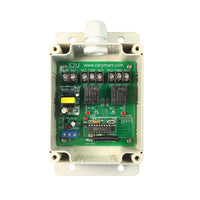 Kit Émetteur Récepteur Radio Avec Relais Fonction Mémoire 110V 220V 433Mhz 2 Canaux 4 Modes (Modèle 0020234)