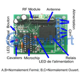 Système de télécommande sans fil RF à une télécommande et six récepteurs CC avec modes de contrôle autoblocage/momentané/interblocage (Modèle 0020431)