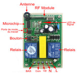 Récepteur de rotation inverse positive du moteur CA disponible pour 1 à 99 canaux (Modèle 0020762)