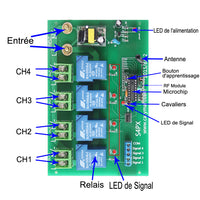 Kit de Télécommande Radio Haute Puissance de Sortie 220V CA 50M Avec Boîtier Étanche (Modèle 0020477)