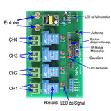 Kit de Télécommande Radio Haute Puissance de Sortie 220V CA 50M Avec Boîtier Étanche (Modèle 0020477)