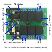 Système de télécommande radio RF à contact sec avec 6 émetteurs et 1 récepteur (Modèle 0020293)