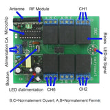Système de télécommande radio RF à contact sec avec 6 émetteurs et 1 récepteur (Modèle 0020293)