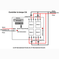 Récepteur à Distance Sans Fil à Relais Sec CA 110V 220V à 4 Voies avec Contact Sec Normalement Ouvert/Normalement Fermé (Modèle 0020403)