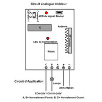 Contrôleur Radio de Moteur CC Avec Sortie de Tension CC 6V/9V/12V/24V (Modèle 0020411)
