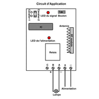 Système de Contrôle d'Émetteur à 12 Voies, 12 Récepteurs Fréquence 433MHz (Modèle 0020494)