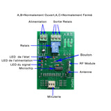 Kit Émetteur Récepteur Relais Sans Fil CC6V 9V 12V 24V Fonction Temporisation Ajustable 0s~99h (Modèle 0020651)