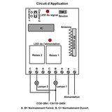 Interrupteur telecommande sans fil RF CC 10A 2 canaux avec sortie relais NO / NF (Modèle 0020029)