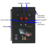 Kit Commande Radio Allumage de Feux d'Artifice 2 Canaux 100M (Modèle 0020368)