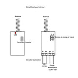 Récepteur Sans Fil 1 Canal Avec Sortie CC 4~12V 3 Modes De Contrôle (Modèle 0020638)