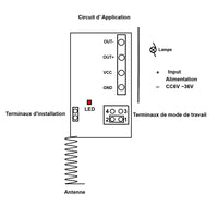 Mini Kit Télécommande & Récepteur 1 Canal CC6~36V Entrée de Puissance 3 Mode de contrôle (Modèle 0020642)