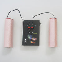Kit Commande Radio Allumage de Feux d'Artifice 2 Canaux 100M (Modèle 0020368)