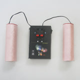 Kit Commande Radio Allumage de Feux d'Artifice 2 Canaux 100M (Modèle 0020368)