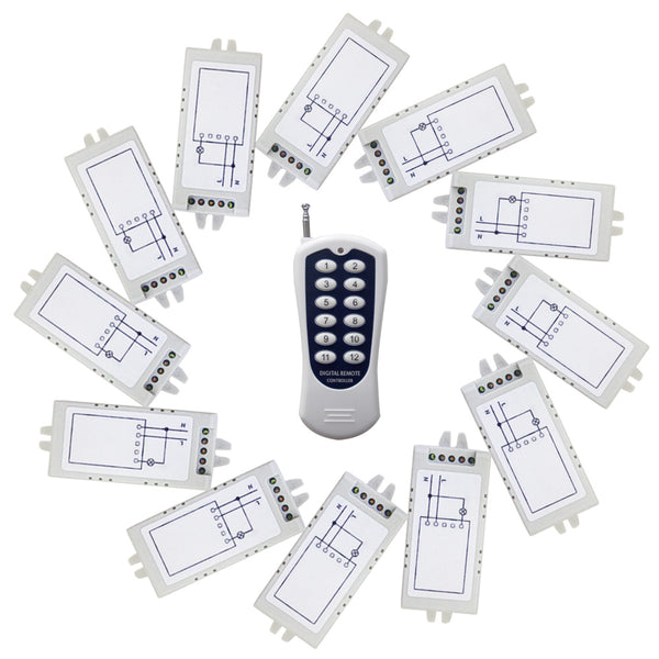 Système Émetteur-Récepteur RF à 12 Canaux Sortie d'Alimentation CA 220V (Modèle 0020625)